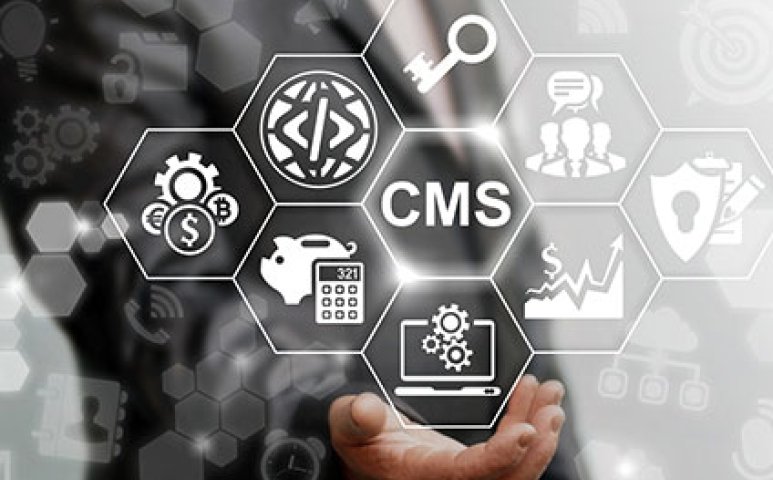 Auf CMS basierende Homepage für Unternehmen – sinnvoll oder doch eine Seifenblase?